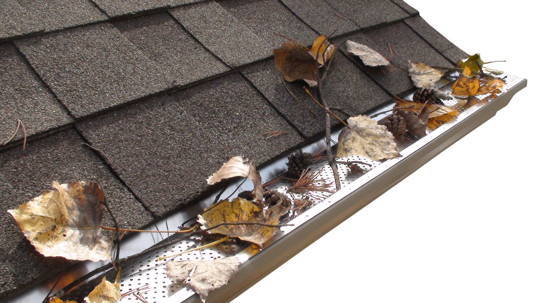 gutterguard Lone Star Windows and Siding